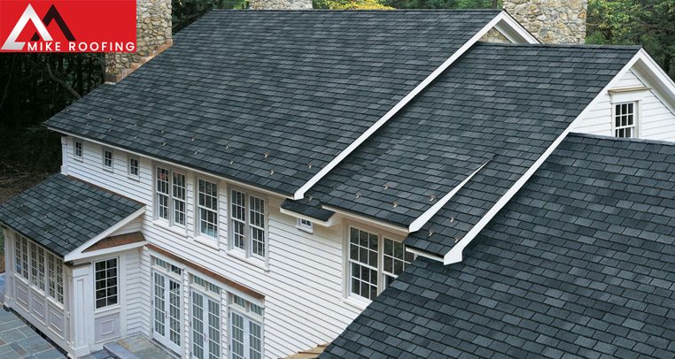 Shingle Roof